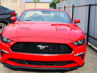 2019 Ford Mustang VI Рестайлинг, красный, 3200000 рублей, вид 1