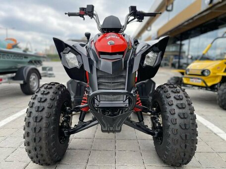 2022 BRP Can-Am DS 250, красный, 331900 рублей, вид 3