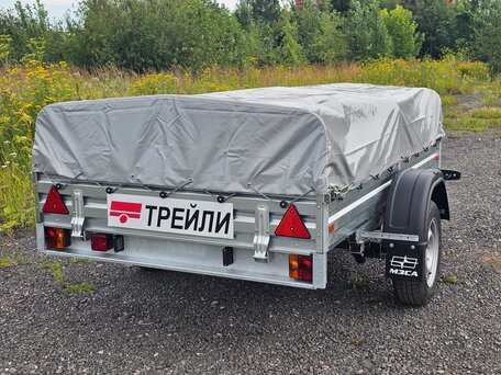 2026 МЗСА 817704, серебристый, 93500 рублей, вид 2