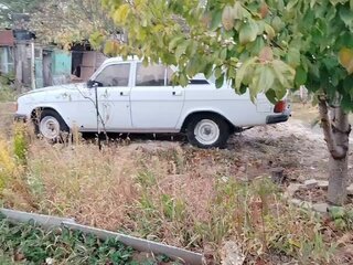 1994 ГАЗ 31029 «Волга», белый, 150000 рублей, вид 5