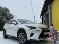 2017 Lexus NX 300 I Рестайлинг, белый - вид 4