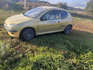 2002 Peugeot 206, жёлтый, 155000 рублей, вид 4