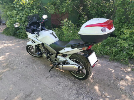 2009 Honda CBF 1000, белый, 490000 рублей, вид 2