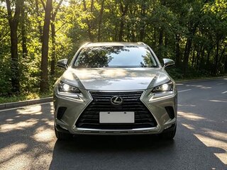 2020 Lexus NX 200 I Рестайлинг, серый, 2320000 рублей, вид 2