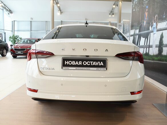 2021 Skoda Octavia IV (A8), белый - вид 4