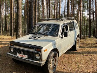 2004 Lada (ВАЗ) 2131 (4x4) I, серебристый, 250000 рублей, вид 1