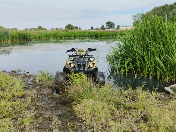 2015 Irbis TTR 125, жёлтый, 80000 рублей - вид 13