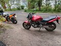 1999 Honda CB 650F, пурпурный, 350000 рублей - вид 2