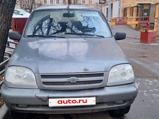 2004 Chevrolet Niva I, серый, 250000 рублей, вид 2