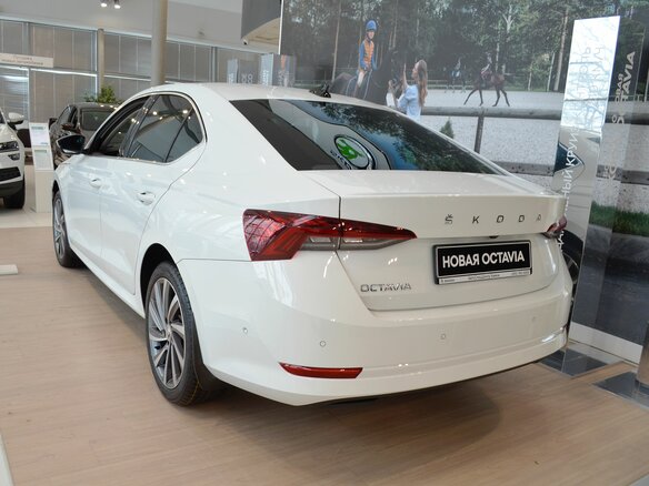 2021 Skoda Octavia IV (A8), белый - вид 6