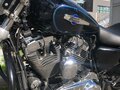 2014 Harley-Davidson Sportster 1200, синий, 860000 рублей - вид 10