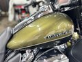 2018 Harley-Davidson Electra Glide, зелёный, 1690000 рублей - вид 8