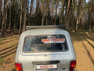 2004 Lada (ВАЗ) 2131 (4x4) I, серебристый, 250000 рублей, вид 4