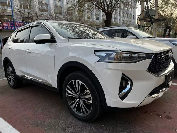 2019 Haval F7 I, белый, 1900000 рублей - вид 10