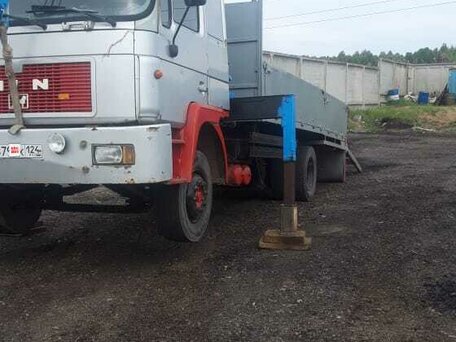 1989 MAN 12, серый, 3000000 рублей, вид 5