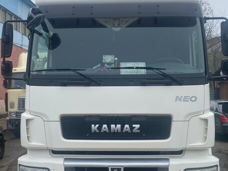 2020 КамАЗ 5490 NEO, белый, 5600000 рублей, вид 1