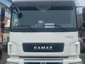 2020 КамАЗ 5490 NEO, белый, 5600000 рублей