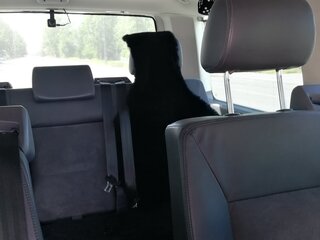 2009 Volkswagen Multivan T5, коричневый, 2300000 рублей, вид 5