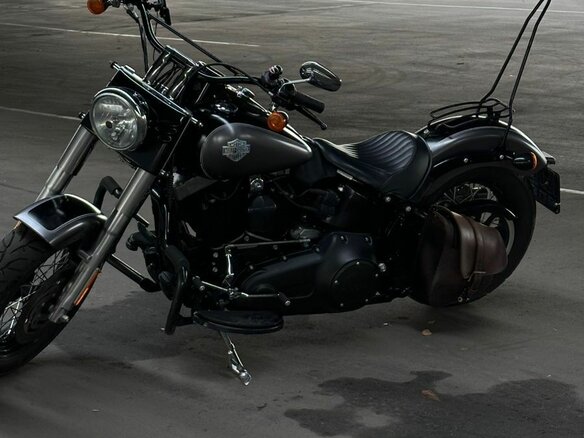 2014 Harley-Davidson Softail Slim, серый, 950000 рублей - вид 8