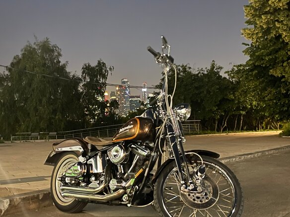 1991 Harley-Davidson Springer Softail, коричневый, 1500000 рублей - вид 10