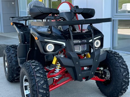 2024 Другие ATV (другие), чёрный, 230000 рублей, вид 1