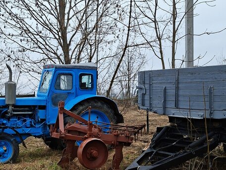 1985 ЛТЗ Т-40АМ, голубой, 550000 рублей, вид 2