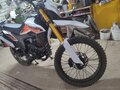 2024 ЗиД 250 Enduro, белый, 160000 рублей - вид 3