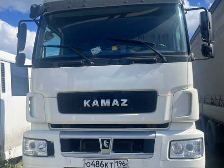 2018 КамАЗ 5490 NEO, белый, 3700000 рублей, вид 2
