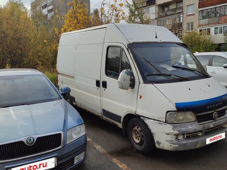 2010 Fiat Professional Ducato, белый, 480000 рублей, вид 3