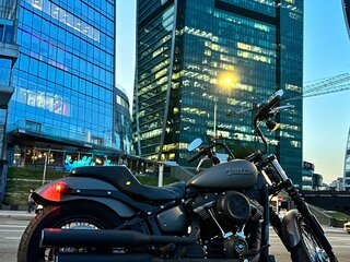 2019 Harley-Davidson Street Bob, серый, 1190000 рублей, вид 2
