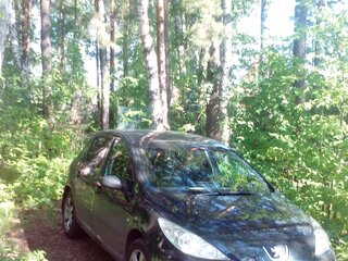 2005 Peugeot 307 I Рестайлинг, чёрный, 390000 рублей, вид 2