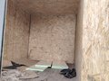 2006 ГАЗ ГАЗель (3302), белый, 610000 рублей - вид 3