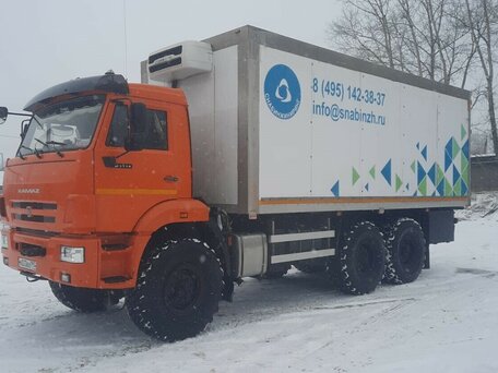 2020 КамАЗ 43114, оранжевый, 4000000 рублей, вид 1