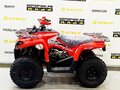 2025 Bison ATV200, красный - вид 2