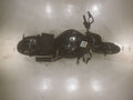 2008 Harley-Davidson V-Rod, чёрный, 1150000 рублей - вид 5