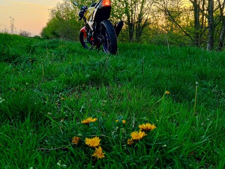 2012 Omaks XGJ125, красный, 60000 рублей, вид 2