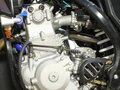 2021 Avantis Enduro 300 Pro/EFI, чёрный - вид 4