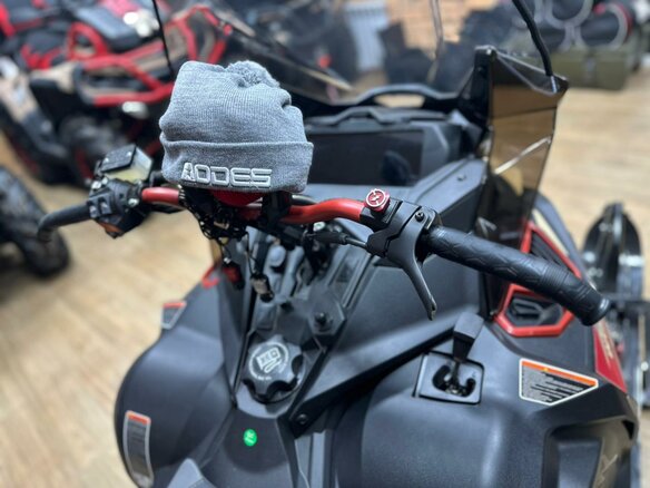 2025 AODES (Odes) Snowcross 1000, бежевый, 999000 рублей - вид 3