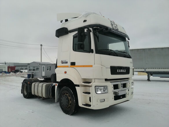 2018 КамАЗ 5490 NEO, белый - вид 14