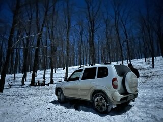 2013 Chevrolet Niva I Рестайлинг, белый, 515000 рублей, вид 4