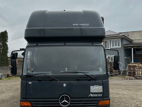 2004 Mercedes-Benz Atego, чёрный, 2000000 рублей, вид 2
