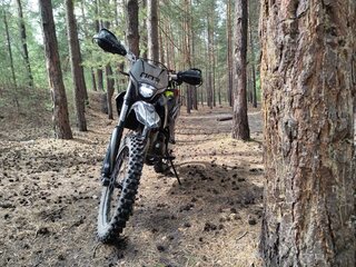 2024 Regulmoto Sport 003 PR Pro, чёрный, 200000 рублей, вид 1