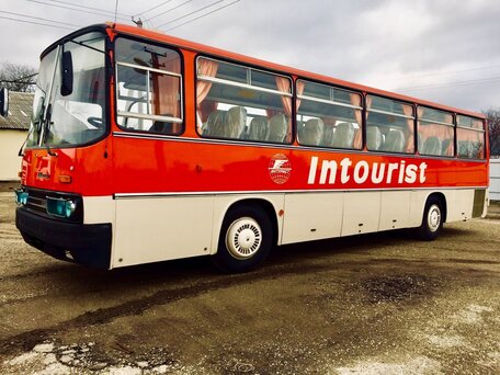 1991 Ikarus 256, красный, 10000000 рублей, вид 2