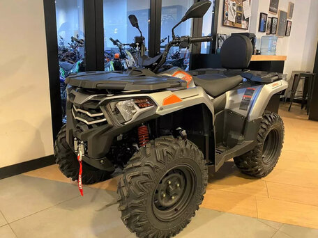 2025 Loncin XWolf 300, серый, 434400 рублей, вид 1