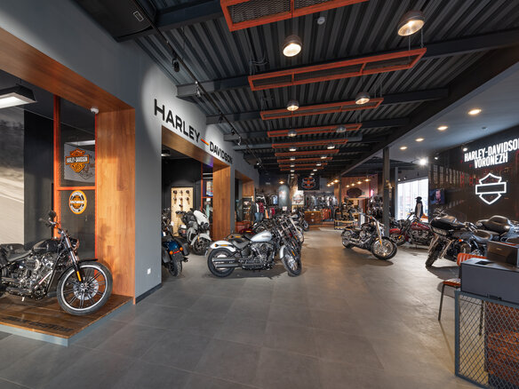 2020 Harley-Davidson Road Glide, коричневый - вид 11