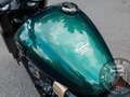 2025 Cyclone RA600, зелёный, 629990 рублей - вид 11