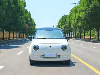 2022 Ora Black Cat 28.5 kWh, белый, 1050000 рублей, вид 2