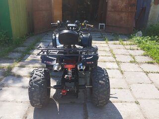 2023 Yamaha Grizzly 250, чёрный, 155000 рублей, вид 2
