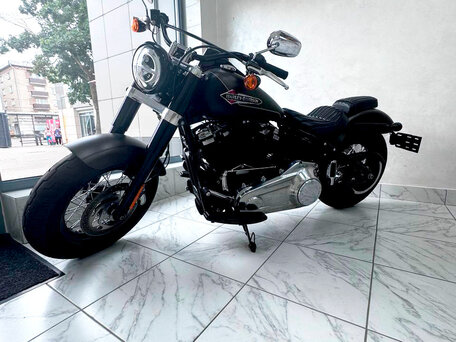 2021 Harley-Davidson Softail Slim, коричневый, 1680124 рублей, вид 5
