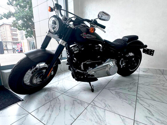 2021 Harley-Davidson Softail Slim, коричневый, 1699805 рублей - вид 4